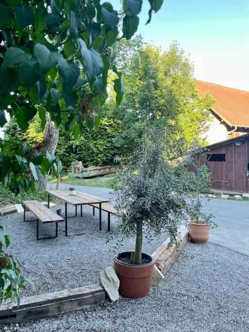 Zauberhafte Ferienscheune Im Hofgut Alte Oelmuehle Энген Экстерьер фото