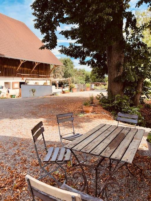 Zauberhafte Ferienscheune Im Hofgut Alte Oelmuehle Энген Экстерьер фото
